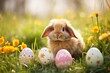 Happy Easter. Cute easter bunny in sunny garden with decorated eggs