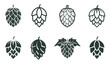 Set of hops flower. Silhouette of hops for beer logo