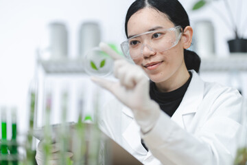 Wall Mural - scientist or medical technician working, having a medical discuss, senior female scientist superviso