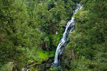 Poster - Beautiful waterfall in the forest