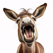 Mule  Portraite of Happy surprised funny Animal head peeking Pixar Style 3D render Illustration