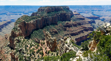 Sticker - View of the Grand Canyon, North Rim, Arizona, United States