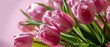 Pink Tulips Bouquet On Pastel Background For Special Occasions