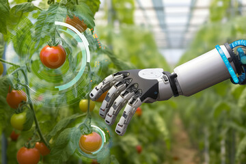 Fototapete - Robot is working in greenhouse with tomatoes. Smart farming and digital agriculture 4.0..