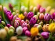 colorful tulips on a blurred background