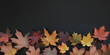 Herbstblätter in wunderschönen Farben auf schwarzen Hintergrund im Querformat für Banner, ai generativ