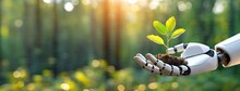 Robot Hand Gently Holding A Young Plant Against Green Spring Forest Background. Sustainable Development In The Field Of Agriculture And Artificial Intelligence. Arbor Day Concept.