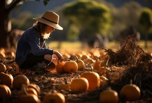 Cute Little Boy Picking Pumpkins On A Pumpkin Patch In Autumn