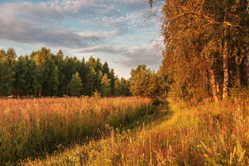 Wall Mural - Path in the autumn park