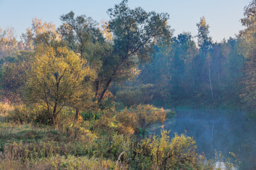 Wall Mural - Early morning  at foggy summer river