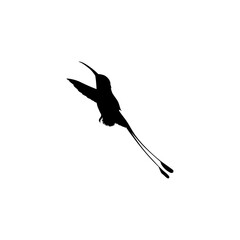 Flying Hummingbird Silhouette, can use Art Illustration, Website, Logo Gram, Pictogram or Graphic Design Element. Vector Illustration
