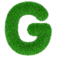 Green Grass Letter G, 3D Rendering Isolated On Transparent Background