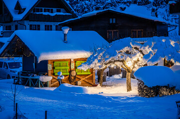 Unexpected encounters in the night. Tarvisio forest and Camporosso in the snow.