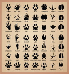 Animal Tracks Paw Print Icon Set stock illustration