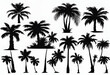 © Produzir - Set of palm trees black color and isolated white background