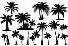 Set Of Palm Trees Black Color And Isolated White Background