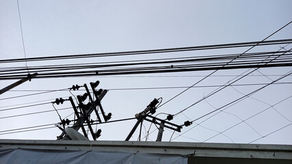 Tulungagung, Indonesia, Oktober 25, 2024: Dozens of electrical cables are tangled in a mess at the top of an electricity pole.