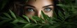 © Mas - Beautiful young woman's face with natural makeup and green eye behind green leaves while looking at the camera