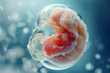 High-Resolution Human Embryo, Scientific Design Human Embryo
