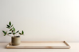 Fototapeta  - Still life, nature, interior and design concept. Green plant in pot placed on wooden pallet in front of bright blank wall background with copy space. Natural soft light