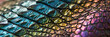 colourful reptile skin texture background