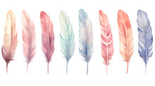 Cute Boho Collection, Featuring A Set Of Bird Feathers On A White Background.