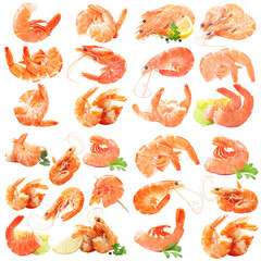 Wall Mural - Set of shrimps on white isolated