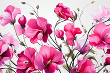 Pink Sweet Pea Flowers On White Background. 