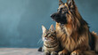 © Katrin_Primak - Dog and cat laying next to each other on carpeted floor
