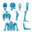 X-ray Pictures Capture Internal Structures Of Skull, Hand, Chest, Leg And Pelvis By Utilizing Penetrating Radiation