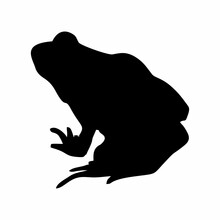 Silhouette Of A Black Frog Or Toad