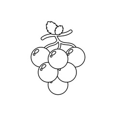 Wall Mural - Grape icon vector. Fruits illustration sign. Vitamins symbol. Vegetarian logo. Food mark.