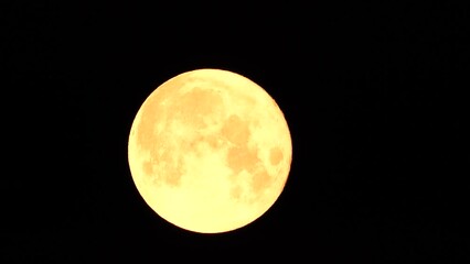 Wall Mural - A glowing golden huge full moon seen from earth through the atmosphere against a starry night sky. A large full moon moves across the sky, the moon moving from the left frame to the right.