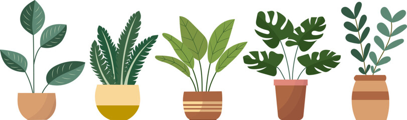 indoor plants, set on white background, vector