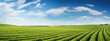© Margarita Ratatosk - Wonderful springtime landscape with grassy field and rolling hills. Panorama of beautiful countryside. Rural scenery. Farming and agriculture industry concept