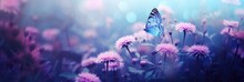 Fluttering Blue Butterfly And Purple Wildflowers On The Field In Sunlight. Floral Spring Concept For Background, Banner Or Greeting Card With Copy Space
