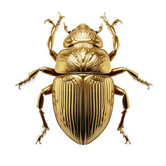 golden scarab beetle