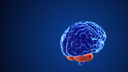 Wall Mural - Mental processes in the brain 3d animation	
