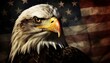 Majestic american bald eagle perched on a grunge american flag with distressed vintage look