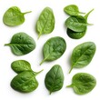 Collage with fresh baby spinach leaves on white background, top view