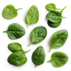 Wall Mural - Collage with fresh baby spinach leaves on white background, top view