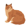 An elegant ginger cat sits attentively in a minimalistic vector illustration