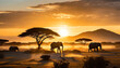A captivating look of elephants in an african wildlife park at sunset.jpg