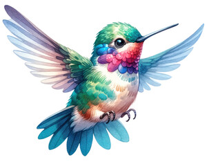 Sticker - watercolor cute Hummingbird isolated on transparent background.