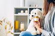 Supplements for pets. Woman with small cute dog holds in her hand medicine jar of animal vitamins against blurred interior. Concept of animal wellness, vitamins for animal, holistic pet health. Mockup