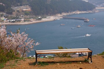 Wall Mural - Gujora Beach viewpoint bench in Geoje, Korea