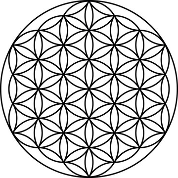 Flower of life vector isolated on white background. Sacred geometry symbol concept.