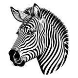 Fototapeta Konie - zebra illustration