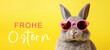 Frohe Ostern Konzept Feiertag Grußkarte mit deutschem Text - Cooler Osterhase, Kaninchen mit rosa Sonnenbrille, isoliert auf gelbem Hintergrund