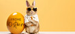 Frohe Ostern Konzept Feiertag Grußkarte - Cooler Osterhase mit Sonnenbrille lehnt sich an ein großes bemaltes gelbes Osterei mit deutschem Text auf Tisch